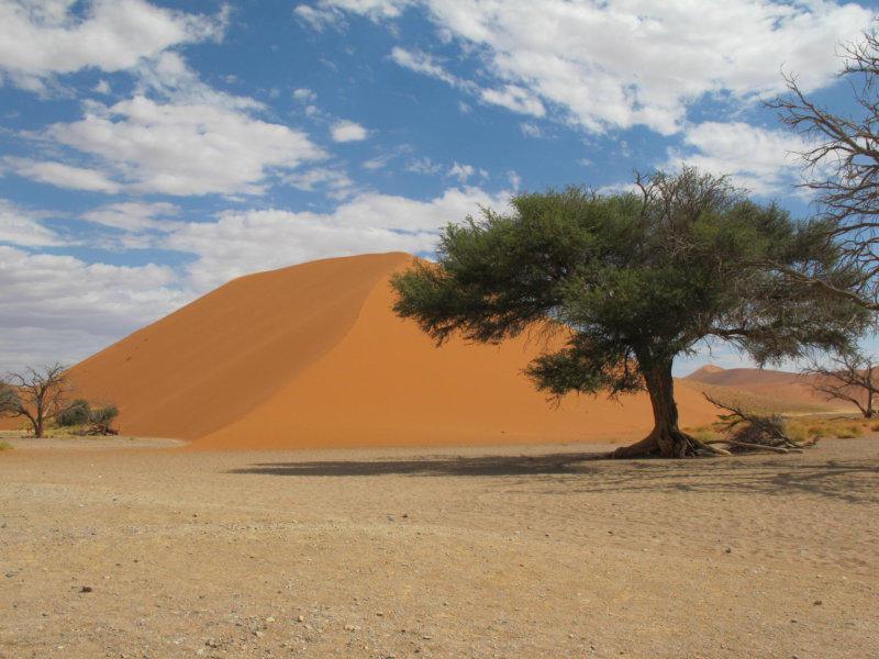 Krása pouště.
